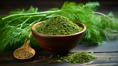 تصویر 1 از شوید خشک اعلا تهیه شده از بهترین سبزی تازه